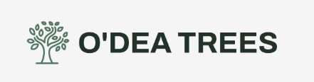 O'Dea Treecare Solutions